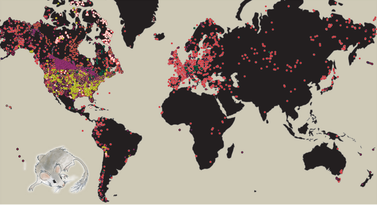 Black continent map on a tan background with a variety of colored dots indicating Neotoma data sites