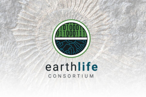 Photo composite of the earth life logo on top of a fossil background