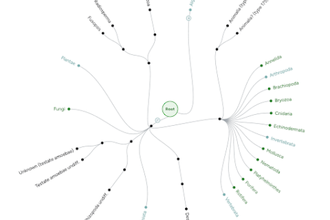 Taxonomy Viewer