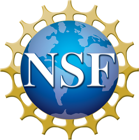 NSF Logo