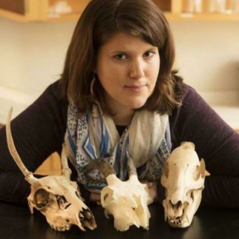 Headshot of Suzanne Birch